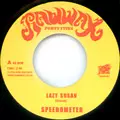 SPEEDOMETER / スピードメーター / LAZY SUSAN + FUNKY MIRACLE