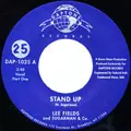LEE FIELDS AND SUGARMAN & CO. / LEE FIELDS & SUGARMAN & CO. / STAND UP