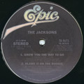 JACKSONS / ジャクソンズ / TORTURE + SHOW YOU THE WAY TO GO