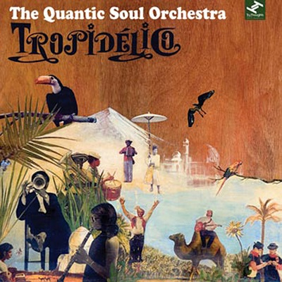 QUANTIC SOUL ORCHESTRA / クアンティック・ソウル・オーケストラ / TROPIDELICO (2LP)
