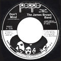 JAMES BROWN BAND + GRODECK WHIPPERJENNY / DON'T MIND + SITTING HERE ON A TONGUE