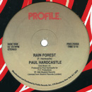 PAUL HARDCASTLE / ポール・ハードキャッスル / RAIN FOREST + SOUND CHASER