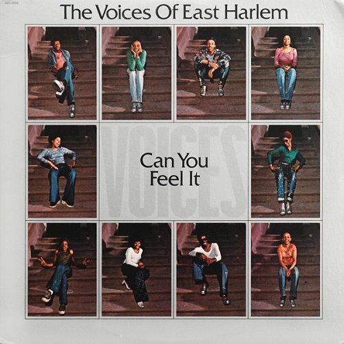 VOICES OF EAST HARLEM / ヴォイセズ・オブ・イースト・ハーレム / CAN YOU FEEL IT (LP)