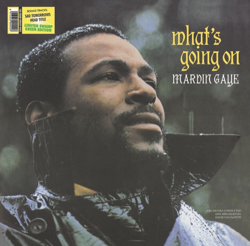 MARVIN GAYE / マーヴィン・ゲイ / WHAT'S GOING ON (GREEN VINYL) 