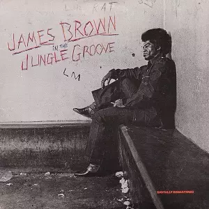 JAMES BROWN / ジェームス・ブラウン / IN THE JUNGLE GROOVE