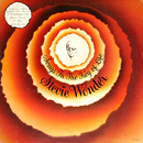 STEVIE WONDER / スティーヴィー・ワンダー / SONG IN THE KEY OF LIFE (2LP 180G)