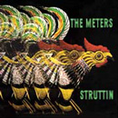 METERS / ミーターズ / STRUTTIN