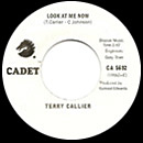TERRY CALLIER / テリー・キャリアー / LOOK AT ME NOW + ORDINARY JOE