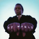 LEE FIELDS & THE EXPRESSIONS / リー・フィールズ&ザ・エクスプレッションズ / MY WORLD / (LP)