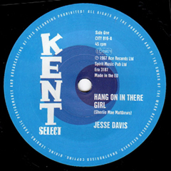 JESSE DAVIS / ジェシー・ディヴィス / HANG ON IN THERE GIRL + HANG ON IN THERE GIRL INSTRUMENTAL (7")