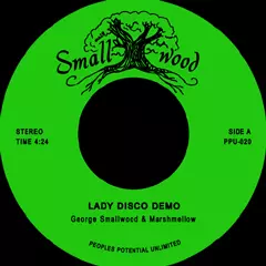 LADY DISCO / ROOLER COASTER (7