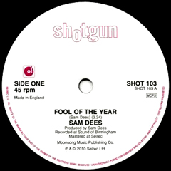 SAM DEES / サム・ディーズ / FOOL OF THE YEAR + TRAIN TO TAMPA (7")