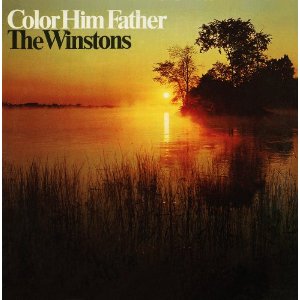 WINSTONS / ウィンストンズ / COLOR HIM FATHER (LP)