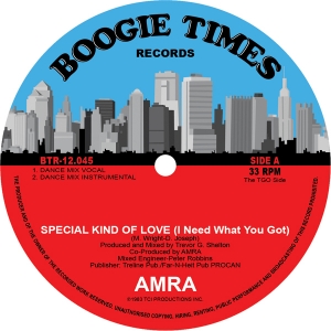 AMRA / アムラ / SPECIAL KIND OF LOVE (I NEED WHAT YOU GOT) (12")
