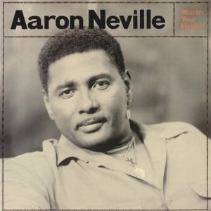 AARON NEVILLE / アーロン・ネヴィル / WARM YOUR HEART (2LP 180G 45RPM)