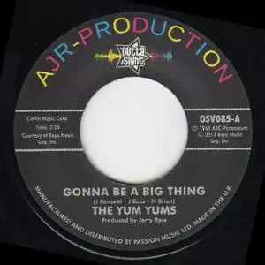 YUM YUMS / ヤムヤムズ / GONNA BE A BIG THING + LOOKY, LOOKY(WHAT I GOT) (7")