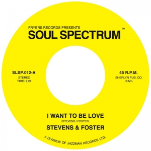 STEVENS & FOSTER / スティーヴンス & フォスター / I WANT TO BE LOVE + WHAT WOULD I HAVE (7")