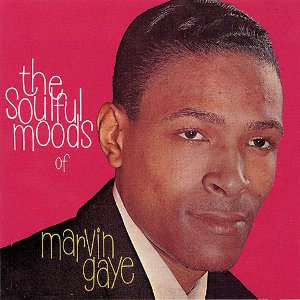MARVIN GAYE / マーヴィン・ゲイ / THE SOULFUL MOODS OF  (LP)