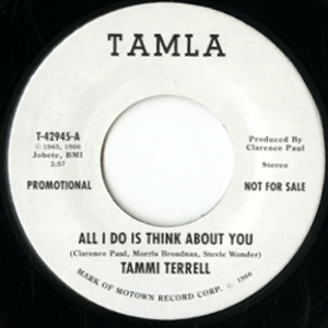 TAMMI TERRELL + BRENDA HOLLOWAY / ALL I DO IS THINK ABOUT YOU (7")