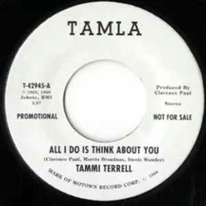TAMMI TERRELL + BRENDA HOLLOWAY / ALL I DO IS THINK ABOUT YOU (7")