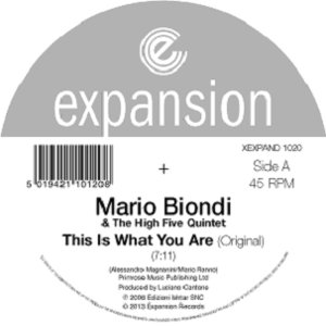 MARIO BIONDI / マリオ・ビオンディ / THIS IS WHAT YOU ARE (12")
