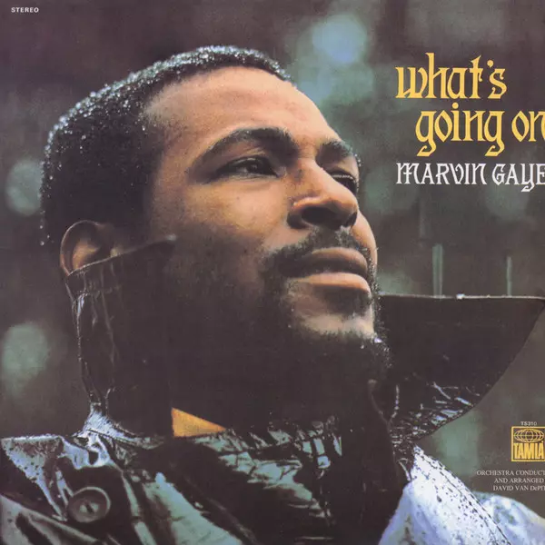 MARVIN GAYE / マーヴィン・ゲイ / WHAT'S GOING ON (LP)