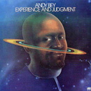 ANDY BEY / アンディ・ベイ / EXPERIENCE AND JUDGEMENT (LP)