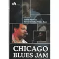 JAMES HARMAN + HOWARD & THE WHITE BOYS / CHICAGO BLUES JAM