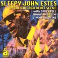 SLEEPY JOHN ESTES / スリーピー・ジョン・エスティス / ON THE CHICAGO SCENE /  