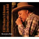 HARMONICA SHAH / ハーモニカ・シャー / IF ALL YOU HAVE IS A HAMMER