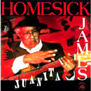 HOMESICK JAMES / ホームシック・ジェイムス / JUANITA