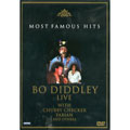 BO DIDDLEY / ボ・ディドリー / MOST FAMOUS HITS - BO DIDDLEY