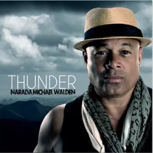 【国内盤LP】ナーラダ・マイケル・ウォルデン 『ルッキング・アット』レコード NARADA MICHAEL WALDEN / ナラダ・マイケル・ウォルデン商品一覧