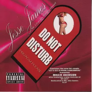 JESSE JAMES / ジェシー・ジェイムズ / DO NOT DISTURB