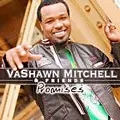 VASHAWN MITCHELL & FRIENDS / PROMISES /  