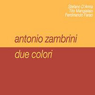 ANTONIO ZAMBRINI / アントニオ・ザンブリーニ / DUE COLORI