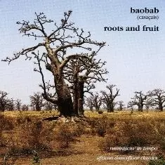 ROOTS AND FRUIT (SENEGAL 1972-86)/ORCHESTRA BAOBAB