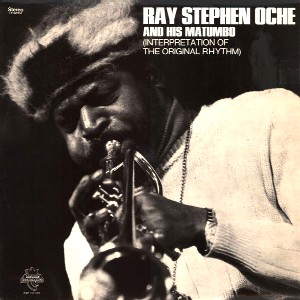 RAY STEPHEN OCHE / レイ・ステファン・オシェ / INTERPRETATION OF THE ORIGINAL RHYTHM