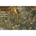 FENNESZ+SAKAMOTO / フェネス+坂本龍一 / SALA SANTA CECILIA