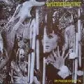 DAMENBART / IMPRESSIONEN '71