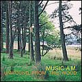 MUSIC A.M. / ミュージック・エイエム / UNWOUND FROM THE WOOD
