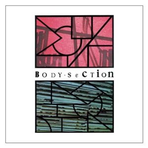 V.A. (NOISE / AVANT-GARDE) / BODY SECTION (CD)