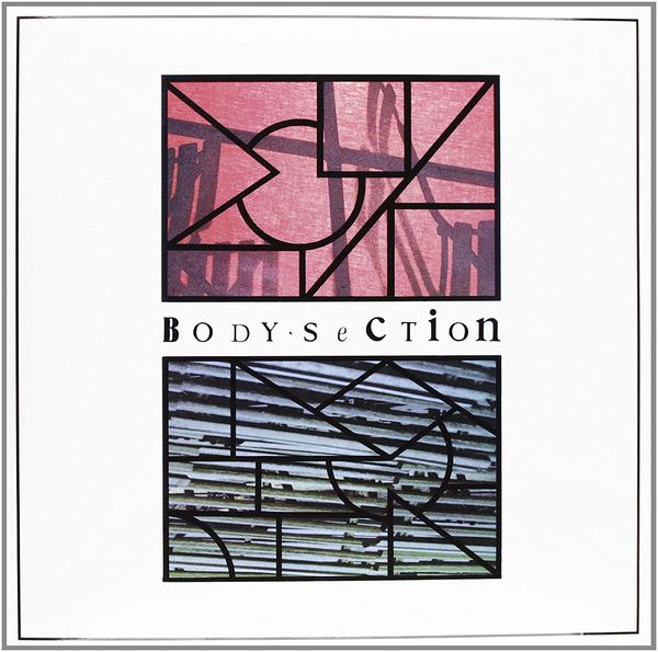 V.A. (NOISE / AVANT-GARDE) / BODY SECTION (LP)