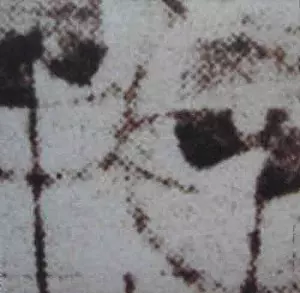 VICE - VERSA, ETC. /ELIANE RADIGUE/エリアーヌ・ラディーグ｜NOISE