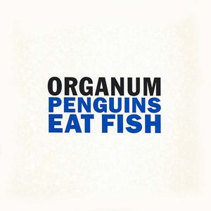 ORGANUM : DAVID JACKMAN / オルガナム/デヴィッド・ジャックマン / PENGUINS EAT FISH/LITTLE DARK WING