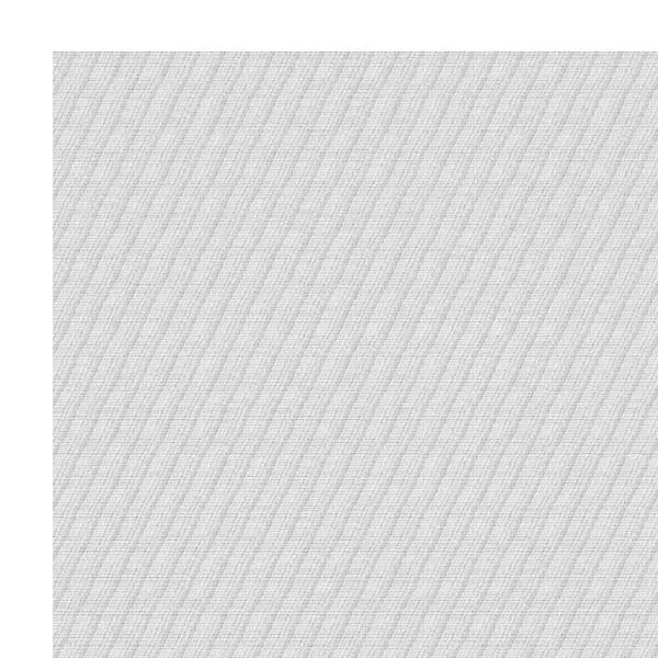 FRANCISCO LOPEZ / フランシスコ・ロペス / UNTITLED#300