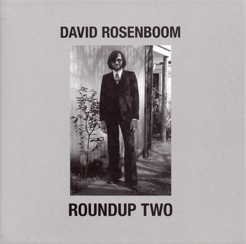 DAVID ROSENBOOM / デヴィッド・ローゼンブーム / ROUNDUP TWO - SELECTED MUSIC WITH ELECTRO-ACOUSTIC LANDSCAPES (1968-1984)
