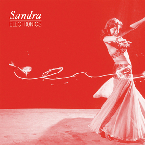 SANDRA ELECTRONICS / WANT NEED
