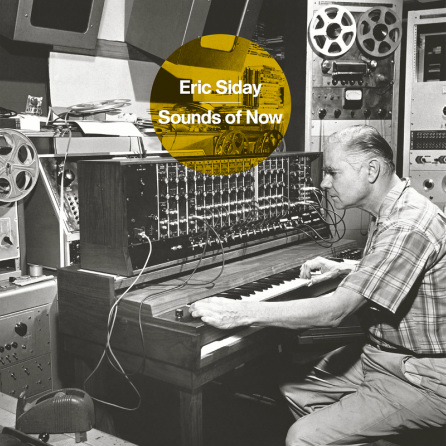 ERIC SIDAY / SOUND OF NOW [LP]