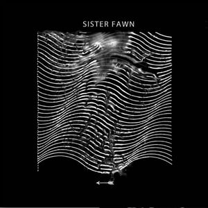 FULL OF HELL / MERZBOW / SISTER FAWN